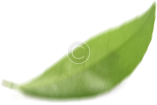 Leaflet_4_parallax