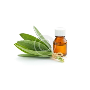 Massage Oil With Aloe Aroma
